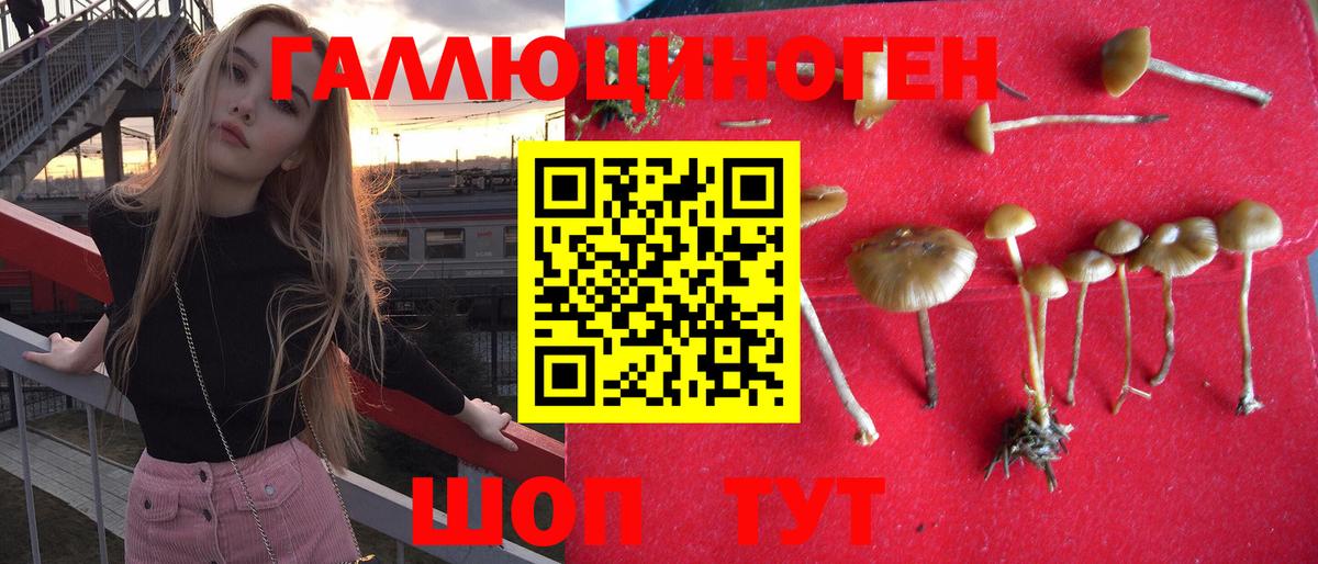Нягань  Галлюциногенные грибы Psilocybe  Вход с VPN  даркнет сайт  Галлюциногенные грибы Psilocybine cubensis 
